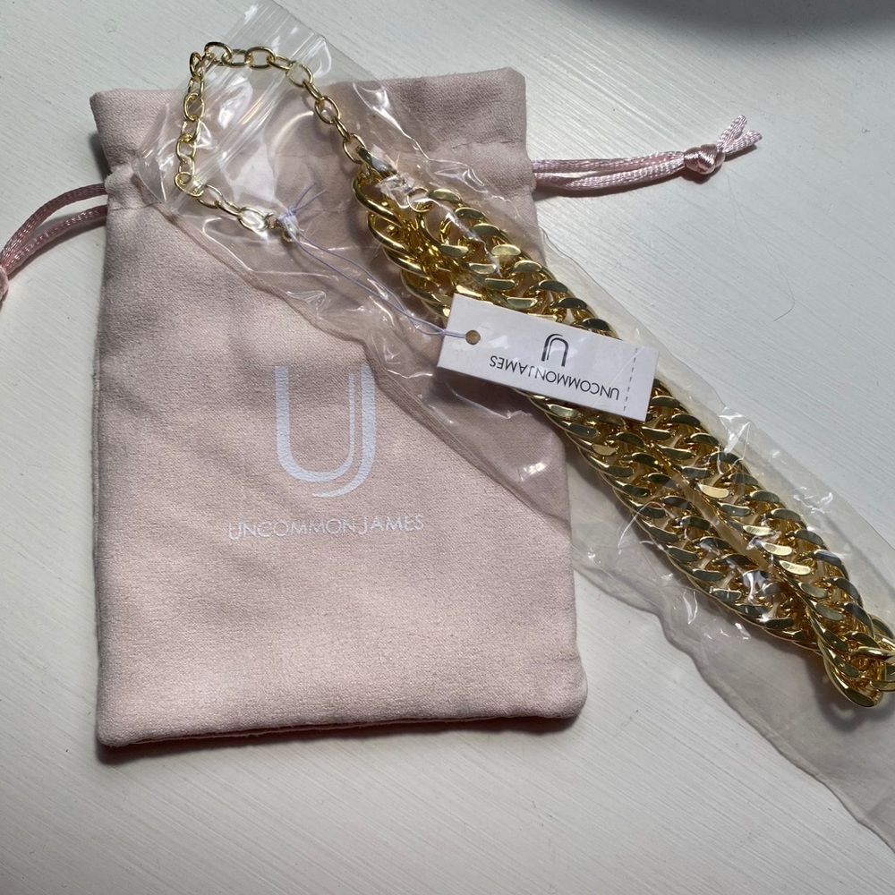 NWT Uncommon James gold link necklace